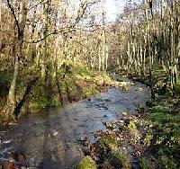 أفضل العروض ل  ارون