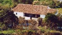 Best offers for Dieguito Valleseco