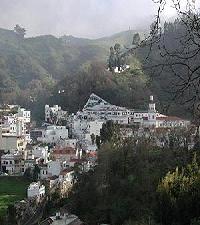 Best offers for El Drago Moreto Moya