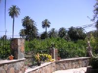 أفضل العروض ل روسيانا سانتا لوسيا