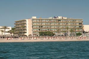 Best offers for Aya S´Arenal