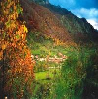 أفضل العروض ل البيرجى دي ساليينثيا سالينسيه