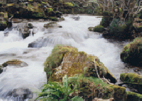 Best offers for Apartamentos Casa Marcelo Veigas