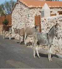 Best offers for Casa Tamasite (Amanay) Tuineje