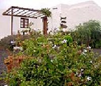 أفضل العروض ل  له اوليفه