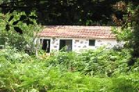 أفضل العروض ل لا ارا ديل ثيدرو ارميغوه