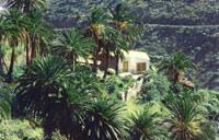 أفضل العروض ل  ارميغوه