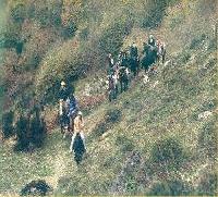 Best offers for Rutas a Caballo Cobrana VALLE DE LAGO