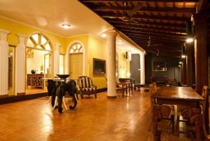 أفضل العروض ل منتجع كوكون سي كوسجودا