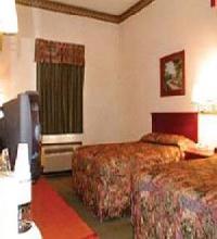 أفضل العروض ل  بيلوكسي 