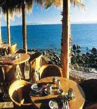Best offers for Posada de Las Flores Punta Chivato Loreto