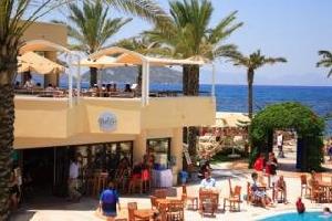 Aegean Garden
