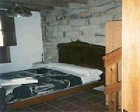 Best offers for Tronco Oles