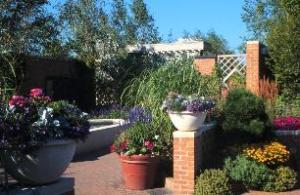 Best offers for CROWNE PLAZA HOTEL CHICAGO NORTHBROOK Northbrook 