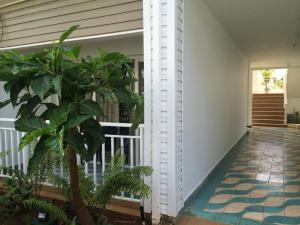 Best offers for Blue Cove San Andres