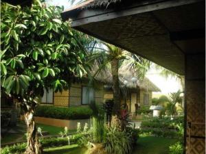 أفضل العروض ل  بانجلاو 