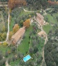 Best offers for Honor Vell Orient