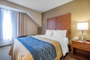 Best offers for Comfort Inn Bathurst