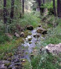 أفضل العروض ل اريا دي اكامبادا وتيسان سدرييلاس