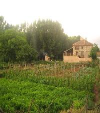 أفضل العروض ل يل ريجاخو اوريوس