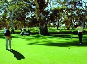 Novotel Barossa Valley Resort