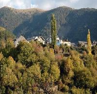 Best offers for Casa Casasíšs Yesero