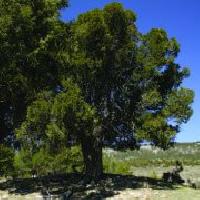 Best offers for Casa Miguela Alcala De La Selva