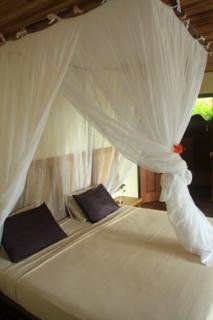 El Remanso Rainforest & Wildlife Lodge