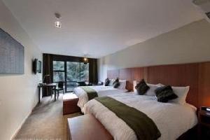 Te Waonui Forest Retreat