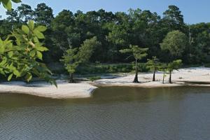 Best offers for HOLIDAY INN HOTEL & SUITES BEAUMONT PLAZA (I 10 & WALDEN) Beaumont 