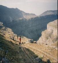 أفضل العروض ل منزل فيليبي فراخين