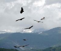 Best offers for Casa Morillo Laspuna