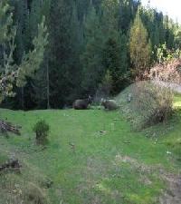 Best offers for Casa Mur  C Foradada De Toscar