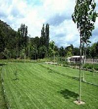 Best offers for Casa  El Soldau Naval