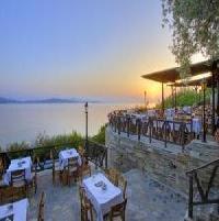 Best offers for Leda Pelion Pilion