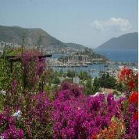 Best offers for Antique Theatre Hotel Bodrum