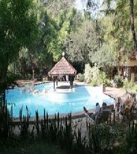 Best offers for Tiger Moon Sawai Madhopur