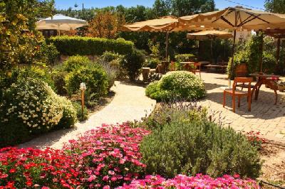 Best offers for Rastoni Aegina 