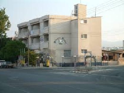 Best offers for King Paphos