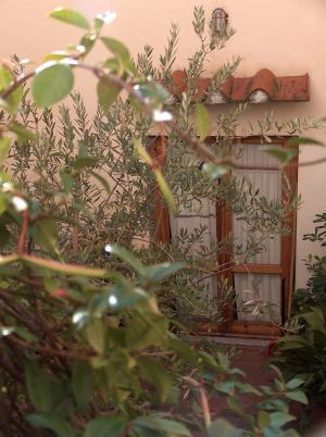 Best offers for HOTEL FIORINO FLORENCE Florence