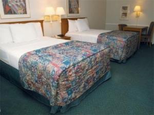 أفضل العروض ل لا ك يوينتاااصتينا35 ساوذ بن وهيت # 478 اوستين