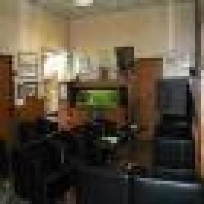 Best offers for Truciolini Arezzo