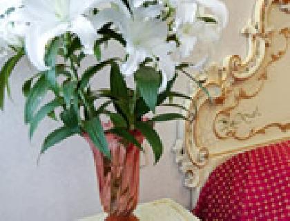 أفضل العروض ل فندق كومفورت ديانا فينسيا