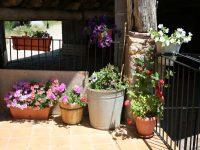 Best offers for El Rincon de Casa Lluis Bonansa