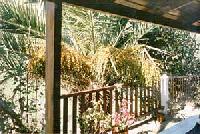 أفضل العروض ل  اغولو