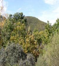 أفضل العروض ل لا بينياتا سان بدرو  د لاس هررياس