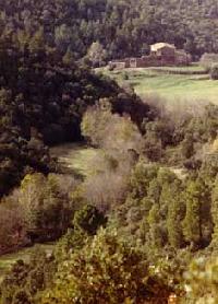 Best offers for Mas Cals Fonteta