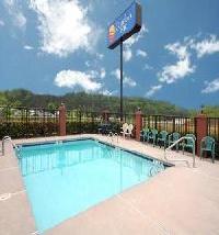 أفضل العروض ل كومفورتان جاكسون 