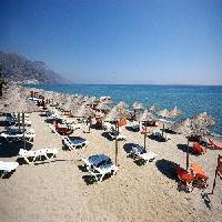 أفضل العروض ل كاردا جاردن كاردامينا