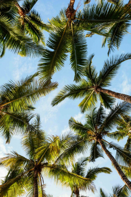 أفضل العروض ل لي سانت جران بوست د فلاكك